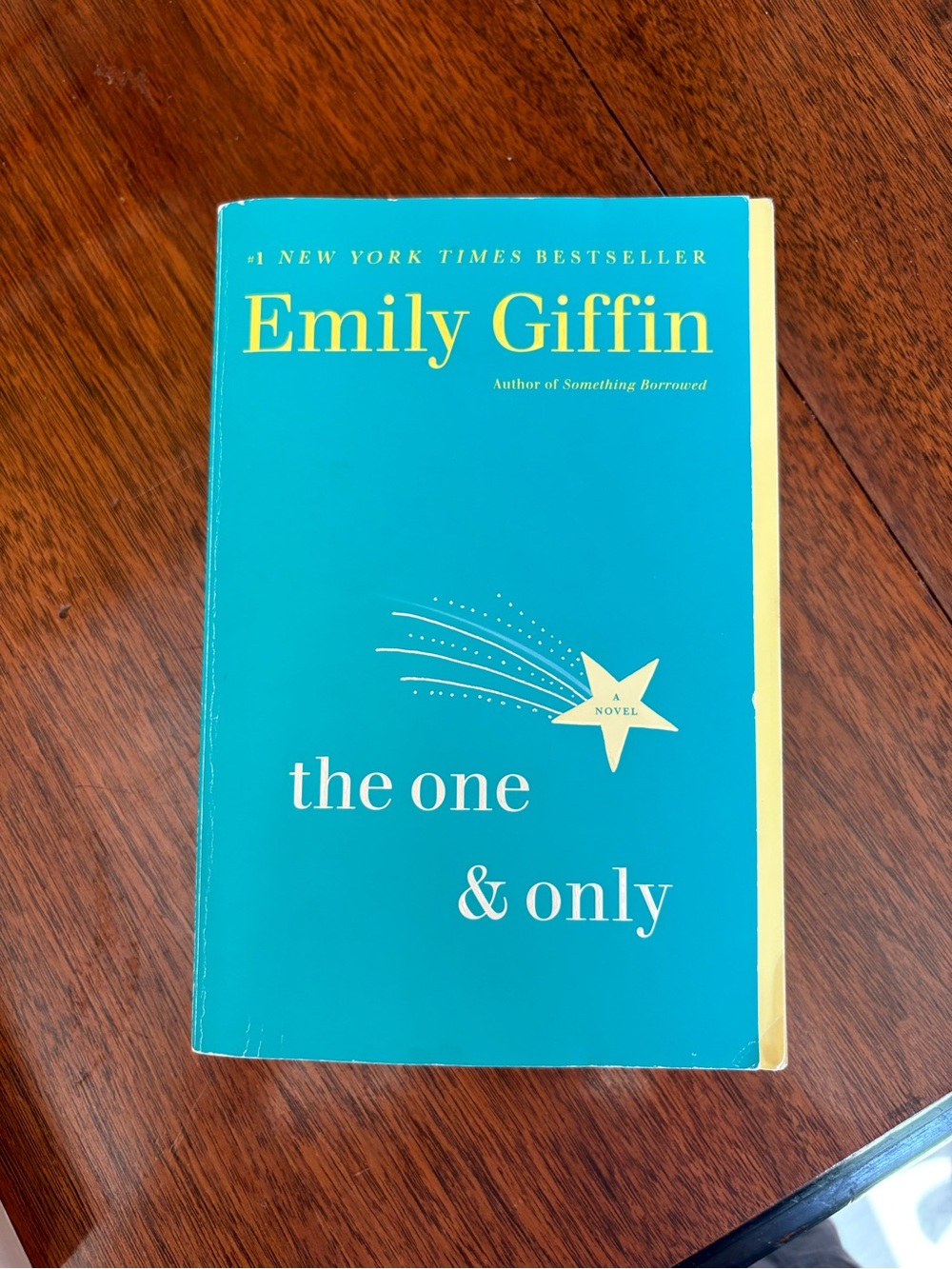 3/$20 The One & Only - Emily Giffin Paperback Novel